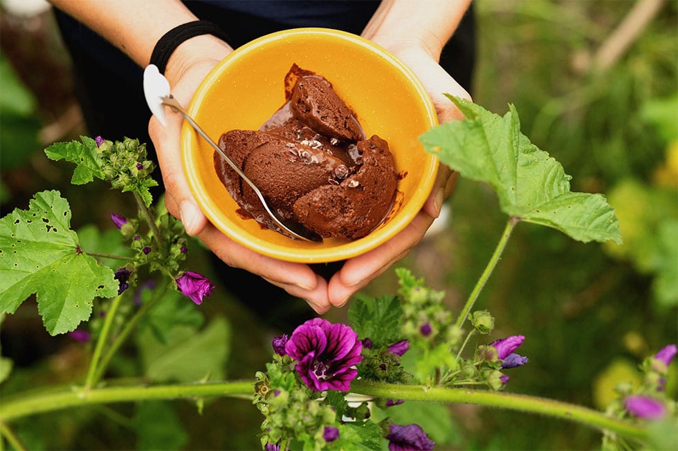 Uitgelichte afbeelding voor "Vegan koffie ijs"