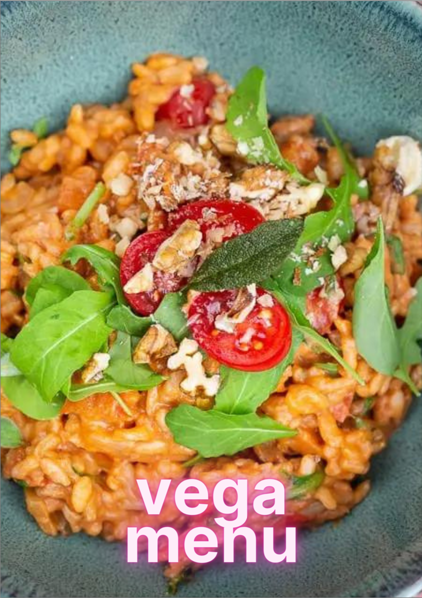 Vega menu ebook cover